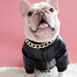 BigMobster - Dog’s Pu Leather Jacket - Sarman Fashion - Wholesale Clothing Fashion Brand for Men from Canada