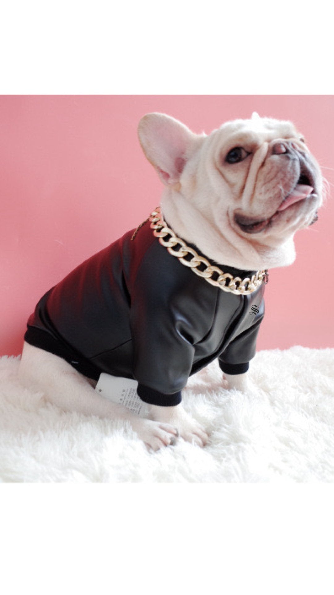 BigMobster - Dog’s Pu Leather Jacket - Sarman Fashion - Wholesale Clothing Fashion Brand for Men from Canada