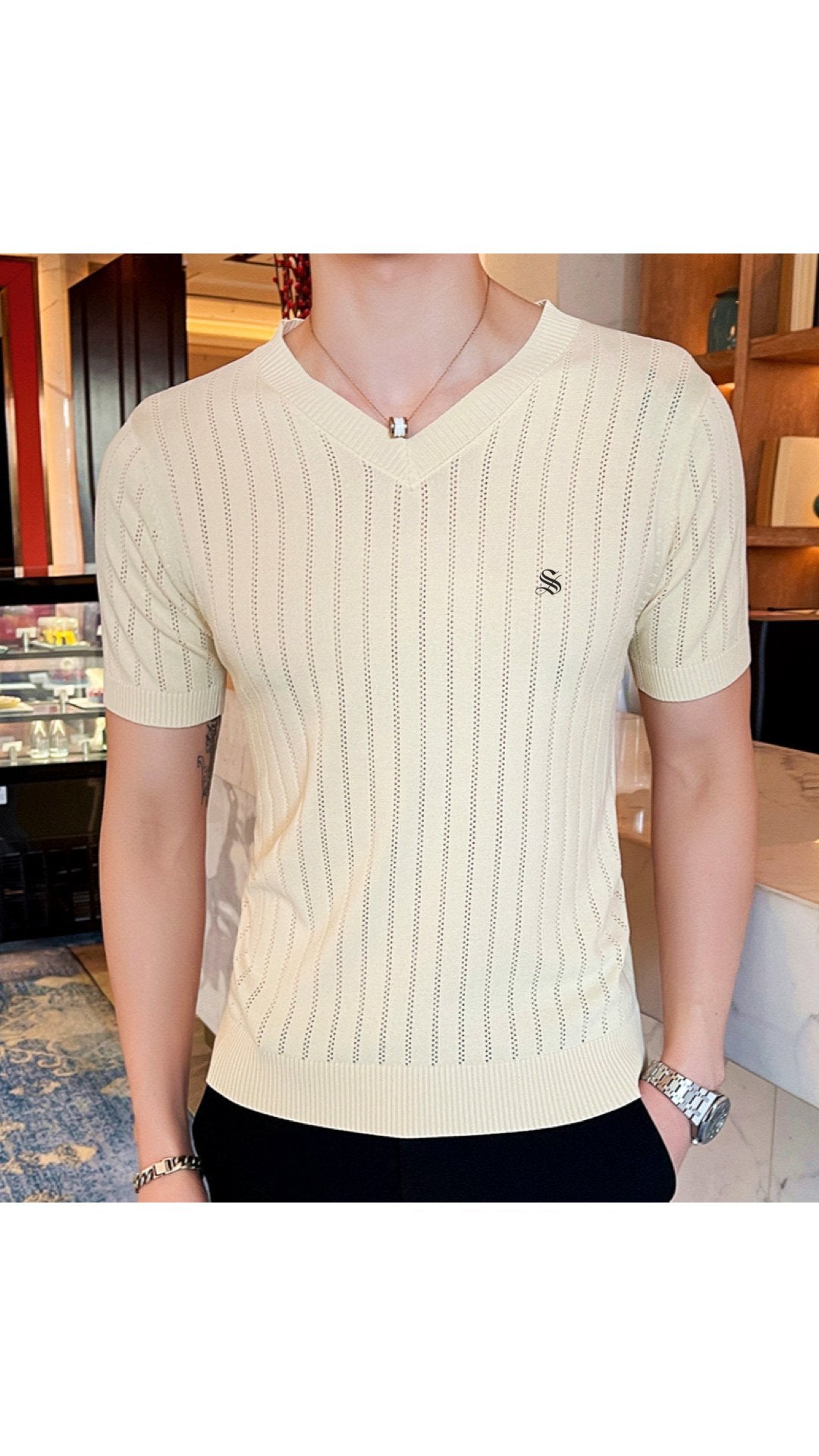 Pennsu 2 - V-Neck T-Shirt for Men - Sarman Fashion - Wholesale Clothing Fashion Brand for Men from Canada