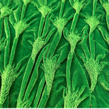 TankZrage 50 - Tank Top for Men