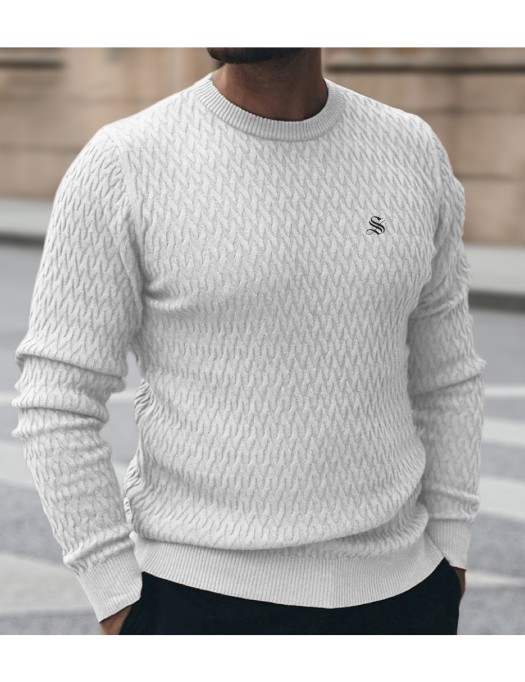 FLJHS - Sweater for Men