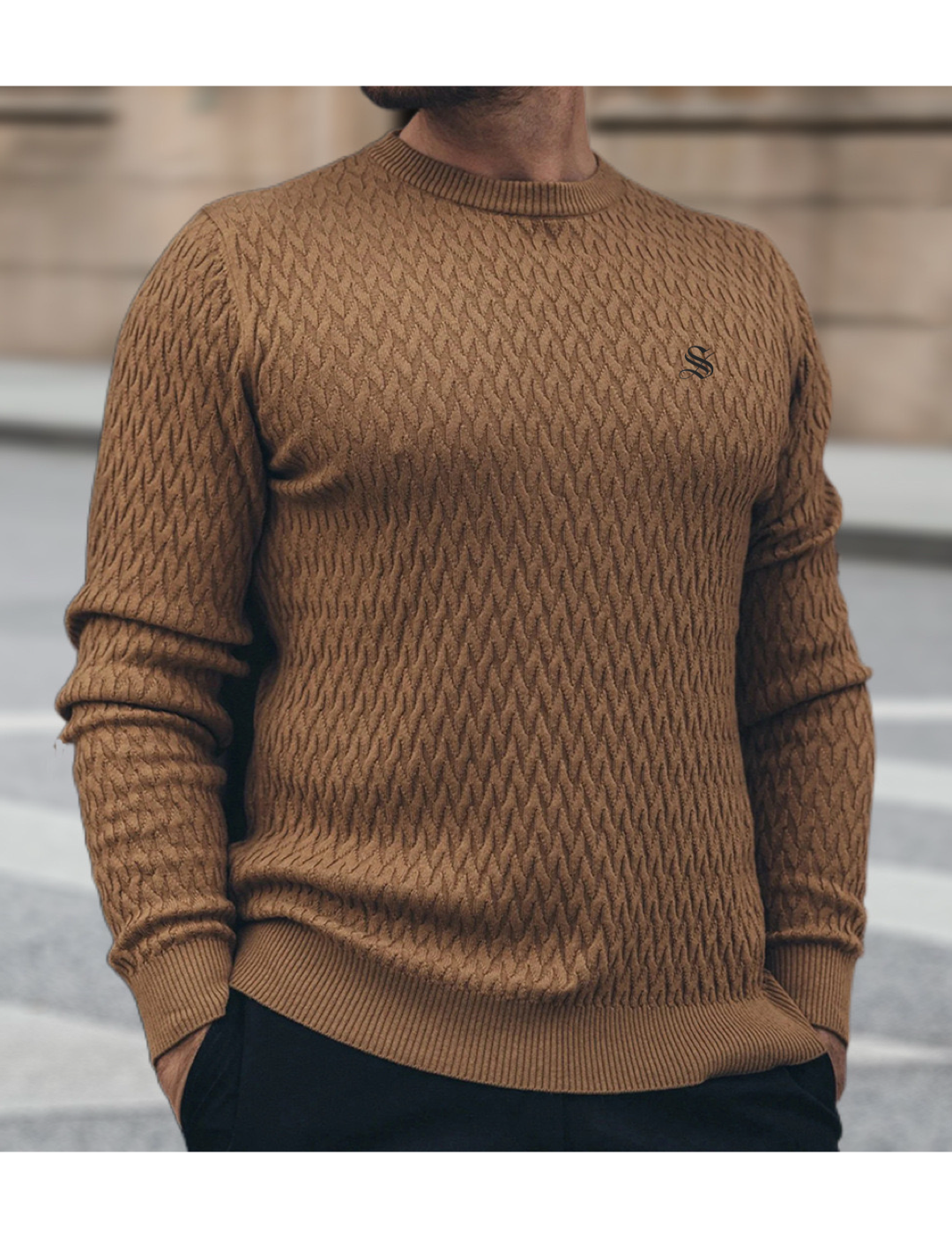 FLJHS - Sweater for Men