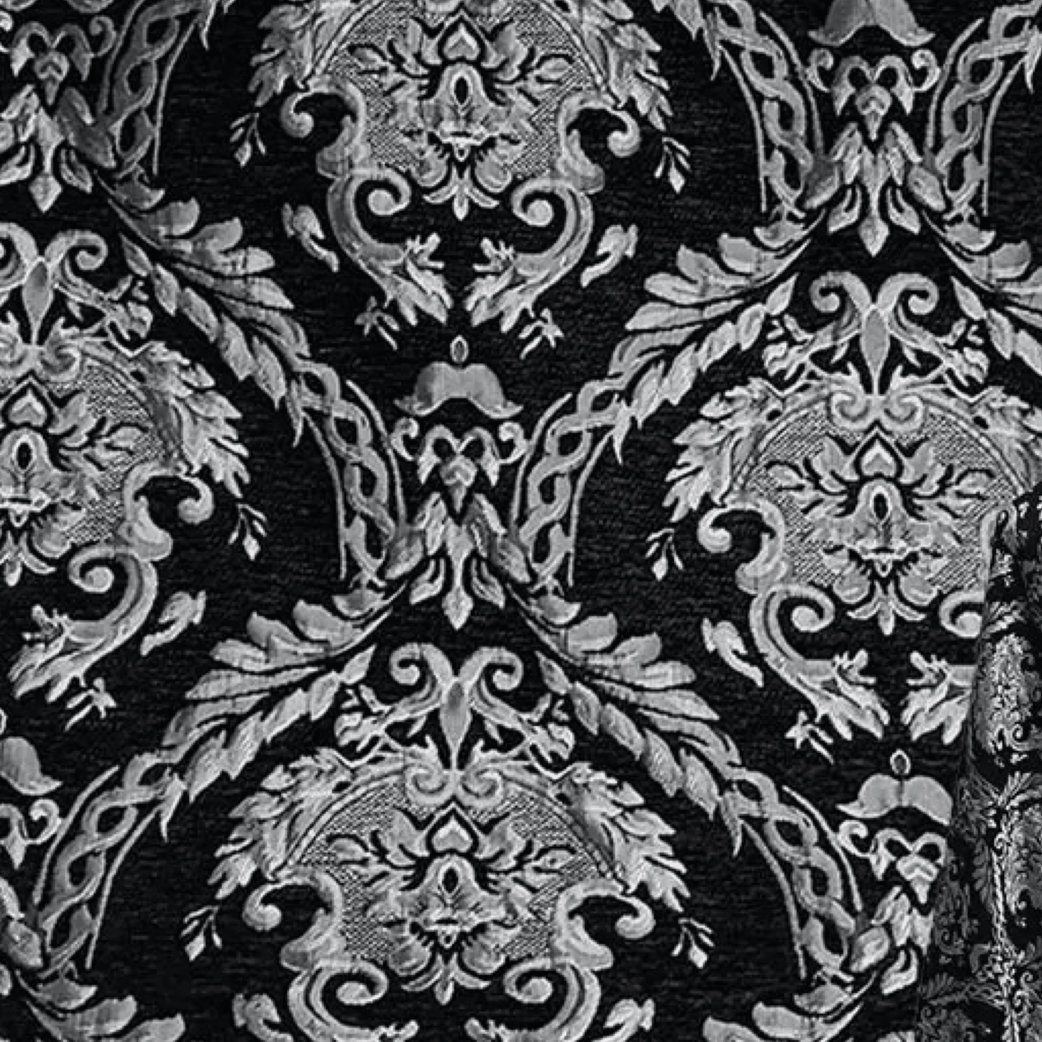 AlphaKing 17 - Velvet Jacket for Men - Sarman Fashion - Wholesale Clothing Fashion Brand for Men from Canada