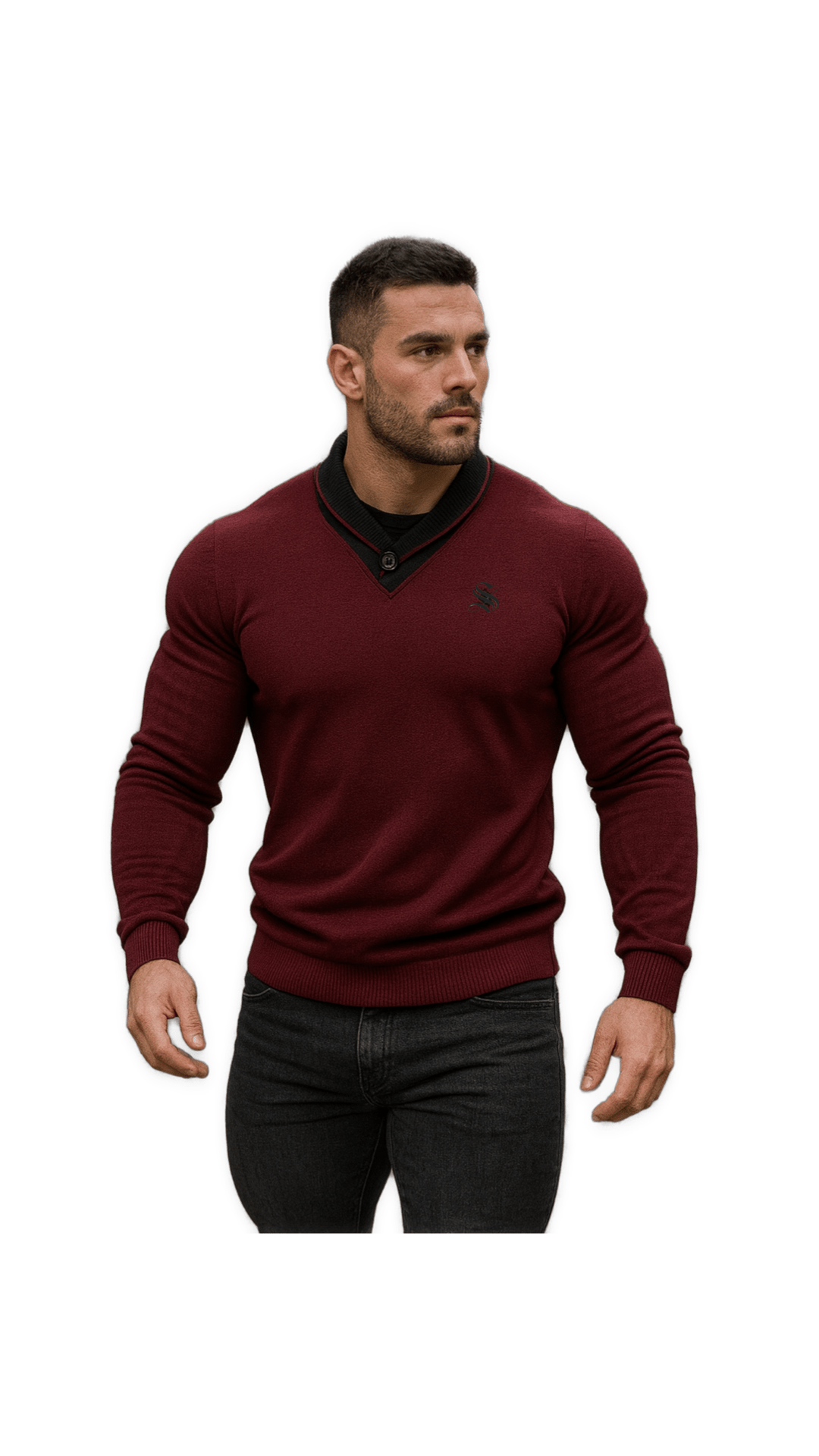 ALuxim - Long Sleeves sweater for Men - Sarman Fashion - Wholesale Clothing Fashion Brand for Men from Canada