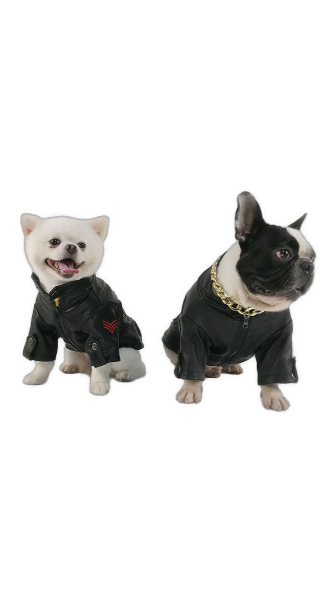 BigMobster 3 - Dog’s Pu Leather Jacket - Sarman Fashion - Wholesale Clothing Fashion Brand for Men from Canada