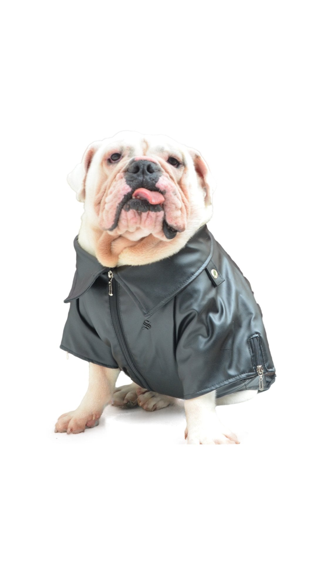 BigMobster 4 - Dog’s Pu Leather Jacket - Sarman Fashion - Wholesale Clothing Fashion Brand for Men from Canada