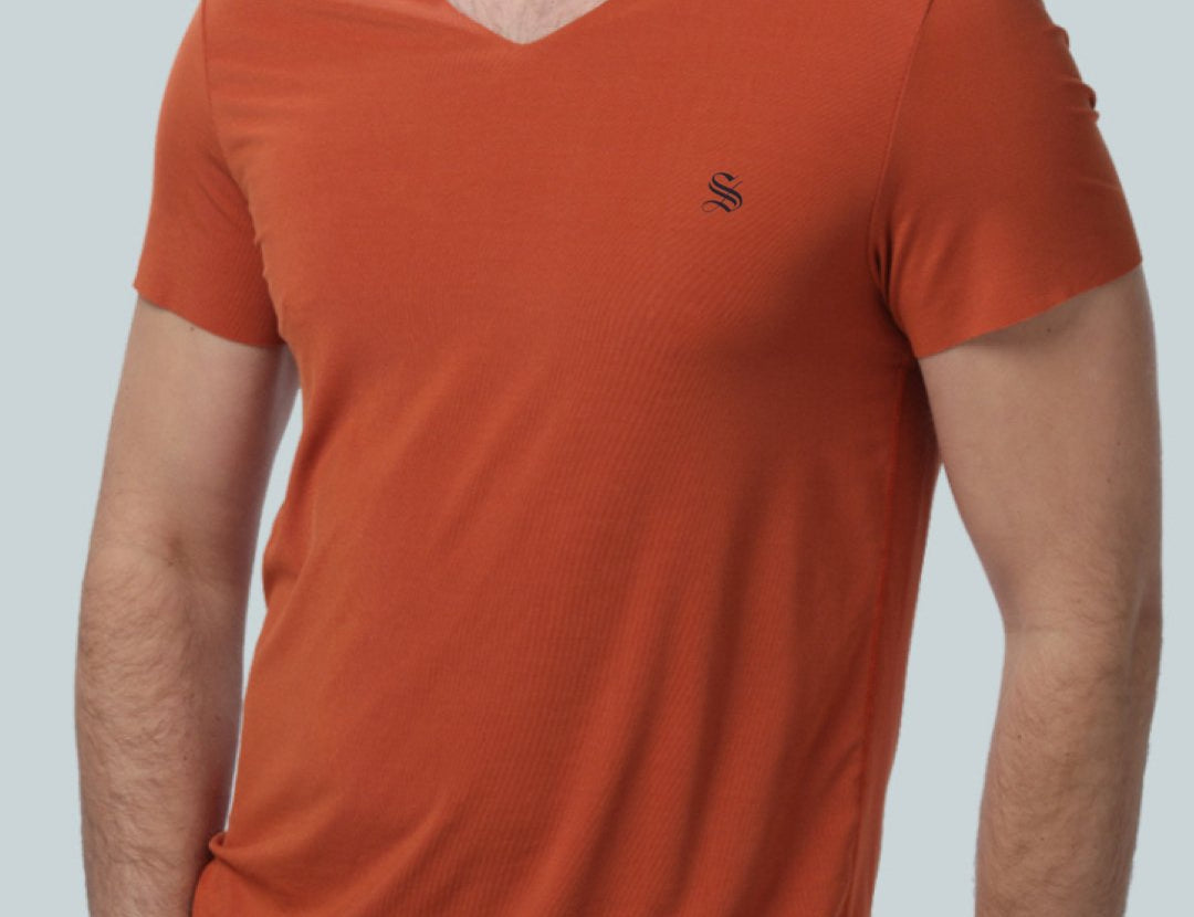 BlackList SS- V-Neck T-Shirt for Men - Sarman Fashion - Wholesale Clothing Fashion Brand for Men from Canada