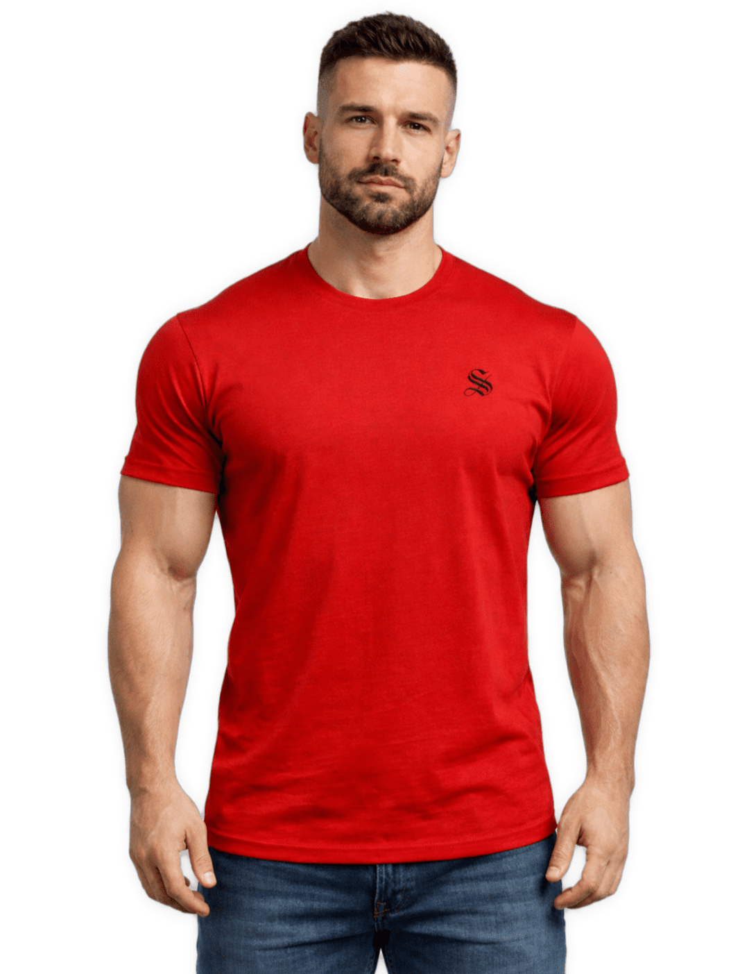 Crupil 137 - T-Shirt for Men - Sarman Fashion - Wholesale Clothing Fashion Brand for Men from Canada