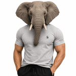 Hanco - Men’s t-shirt - Sarman Fashion - Wholesale Clothing Fashion Brand for Men from Canada