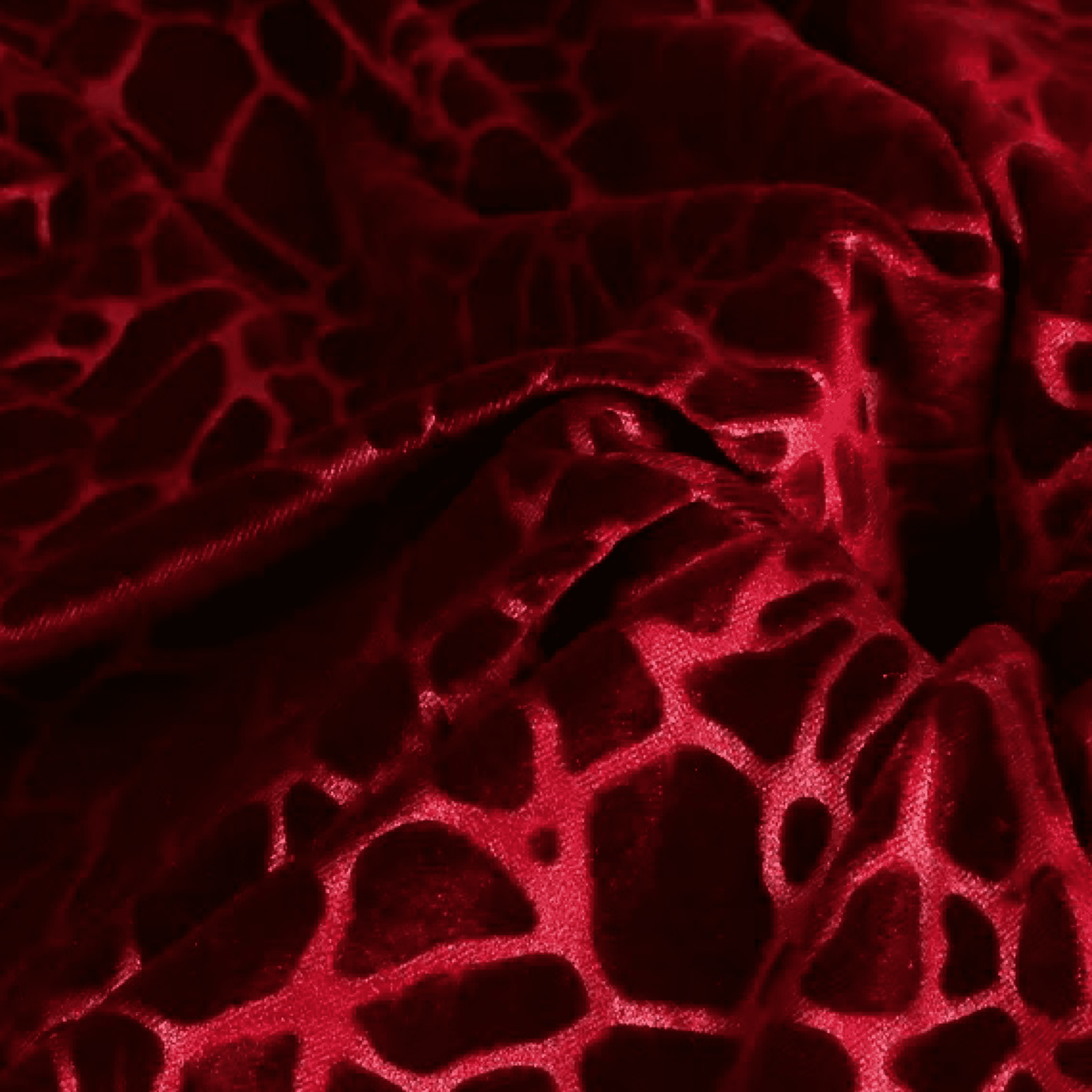 SaeRoz 20 - Velvet Long Sleeves Shirt for Men - Sarman Fashion - Wholesale Clothing Fashion Brand for Men from Canada