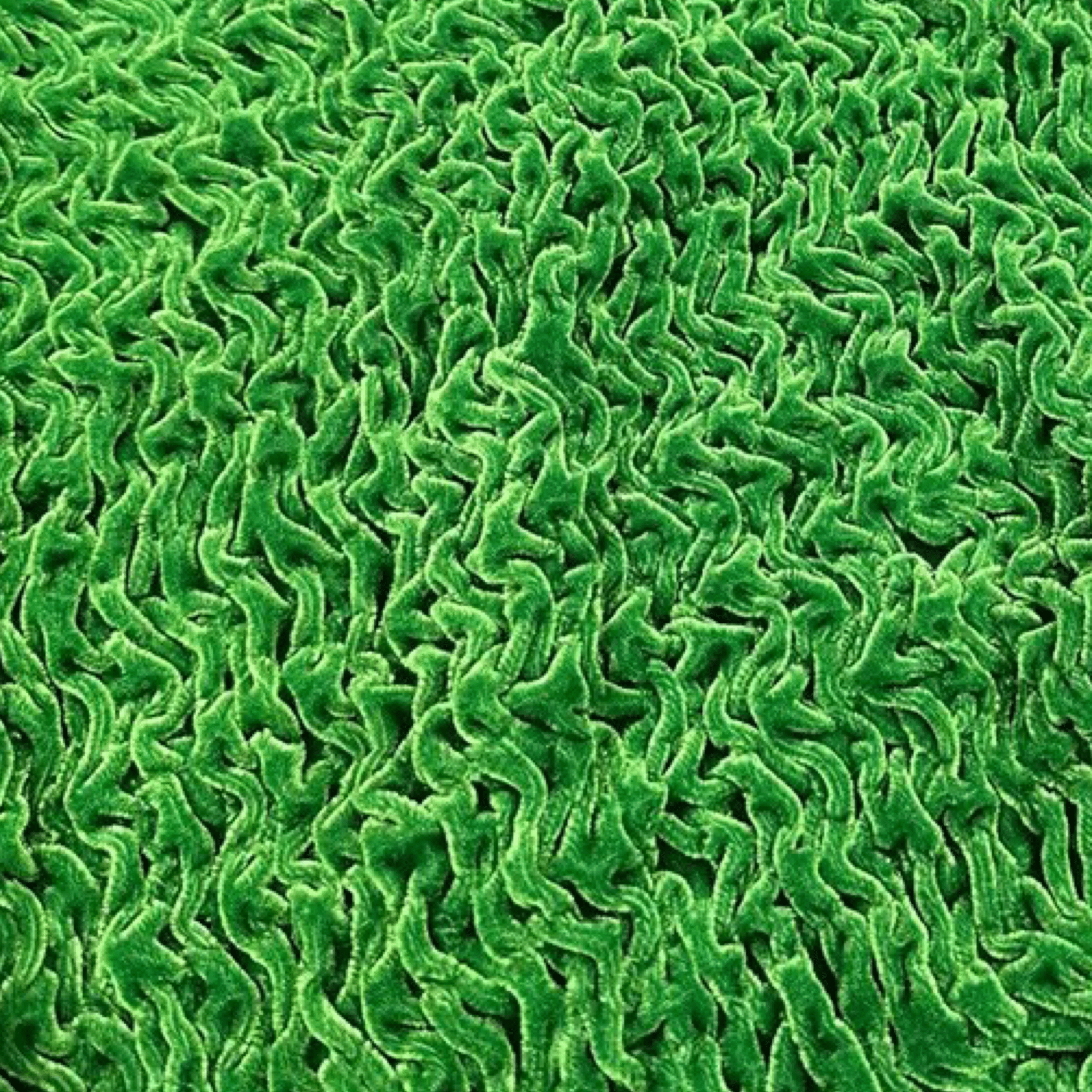 TankZrage 41 - Tank Top for Men - Sarman Fashion - Wholesale Clothing Fashion Brand for Men from Canada