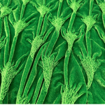 TankZrage 50 - Tank Top for Men - Sarman Fashion - Wholesale Clothing Fashion Brand for Men from Canada