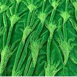 TankZrage 50 - Tank Top for Men - Sarman Fashion - Wholesale Clothing Fashion Brand for Men from Canada